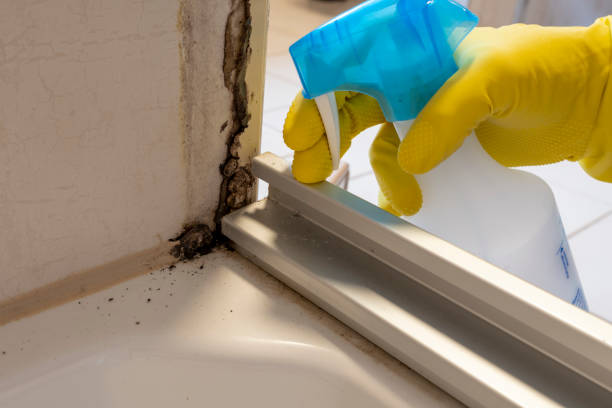 Best Residential Mold Removal  in Johnson Creek, WI