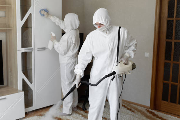 Best Attic Mold Removal  in Johnson Creek, WI